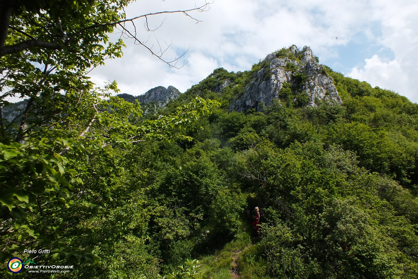 63 Sentiero selvaggio nel bosco.JPG